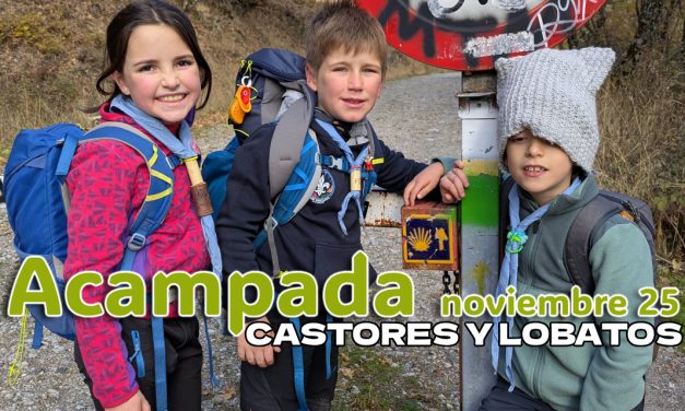 Acampada Castores y Lobatos en Miraflores de la Sierra