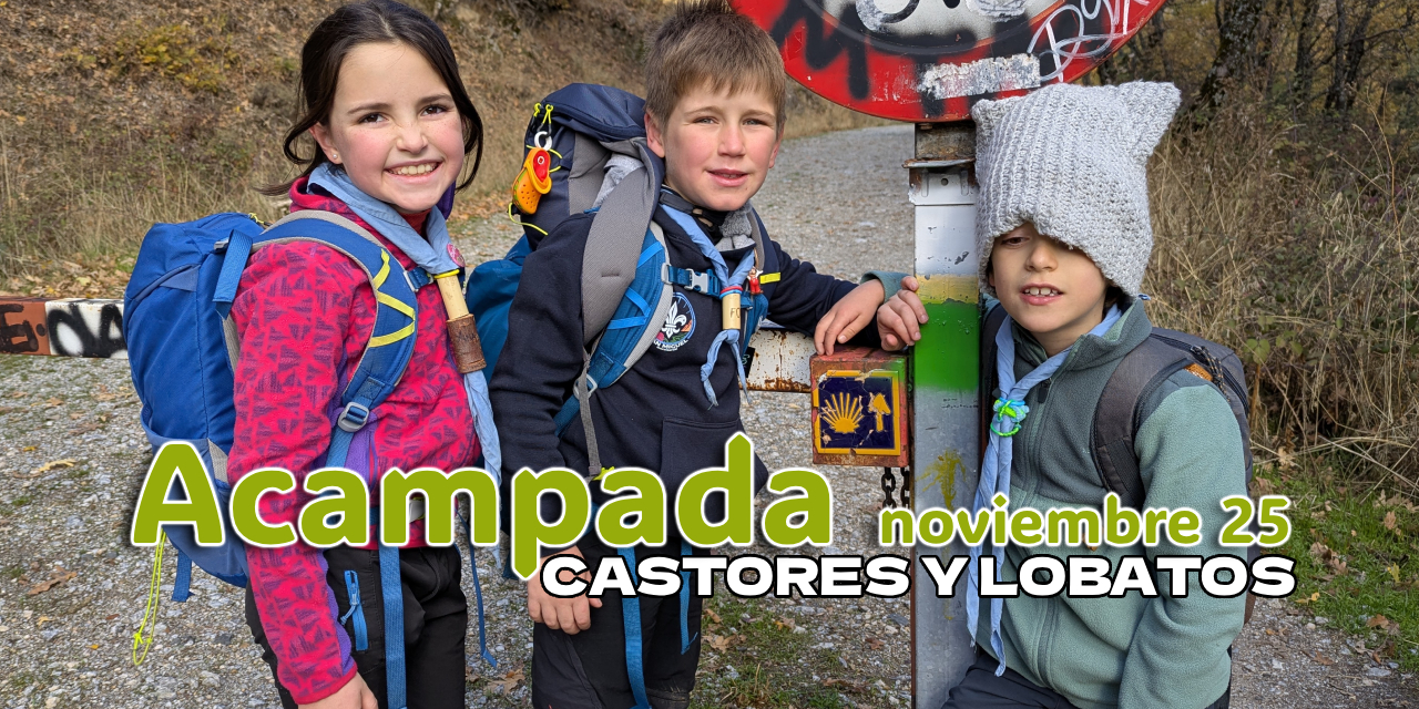 Acampada Castores y Lobatos en Miraflores de la Sierra