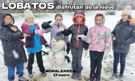 Nevada en Moralzarzal 17 de enero