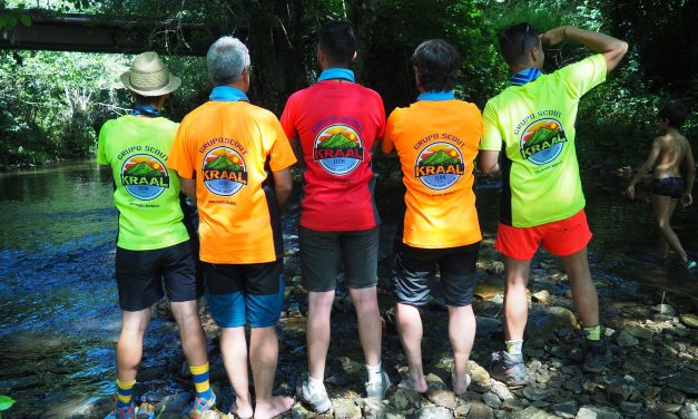 Tallas de Camiseta CAMPA Verano 2026